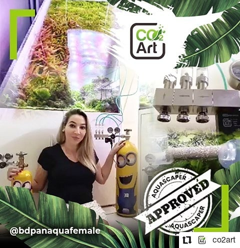 Instagram-julkaisu käyttäjältä @bdpanaquafemale
