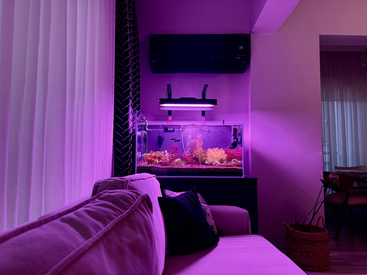 Instagram-julkaisu käyttäjältä @planted.aquarium.studio