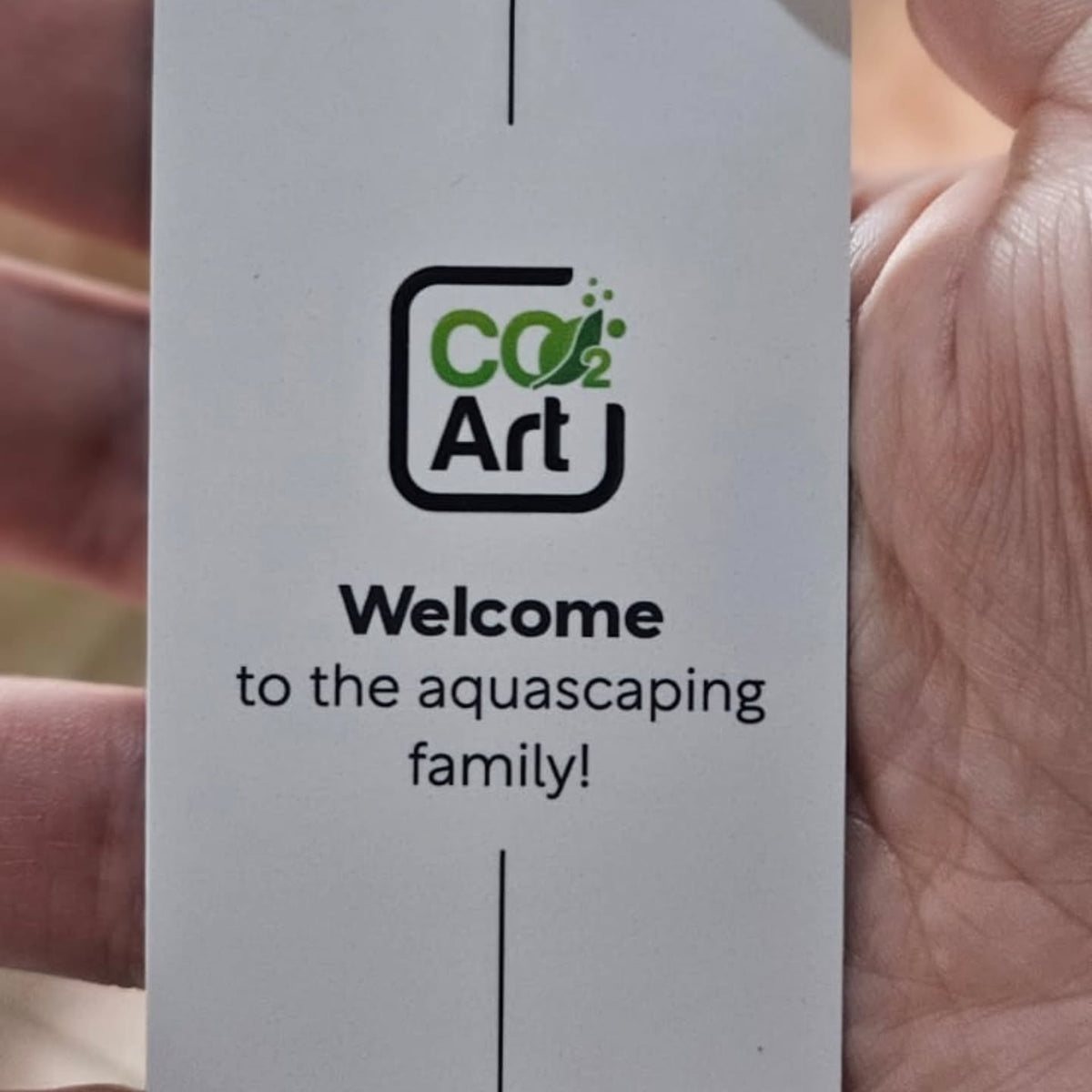 Instagram-julkaisu käyttäjältä @vale.aquascaper