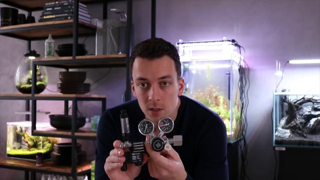 YouTube-video käyttäjältä @mjaquascaping
